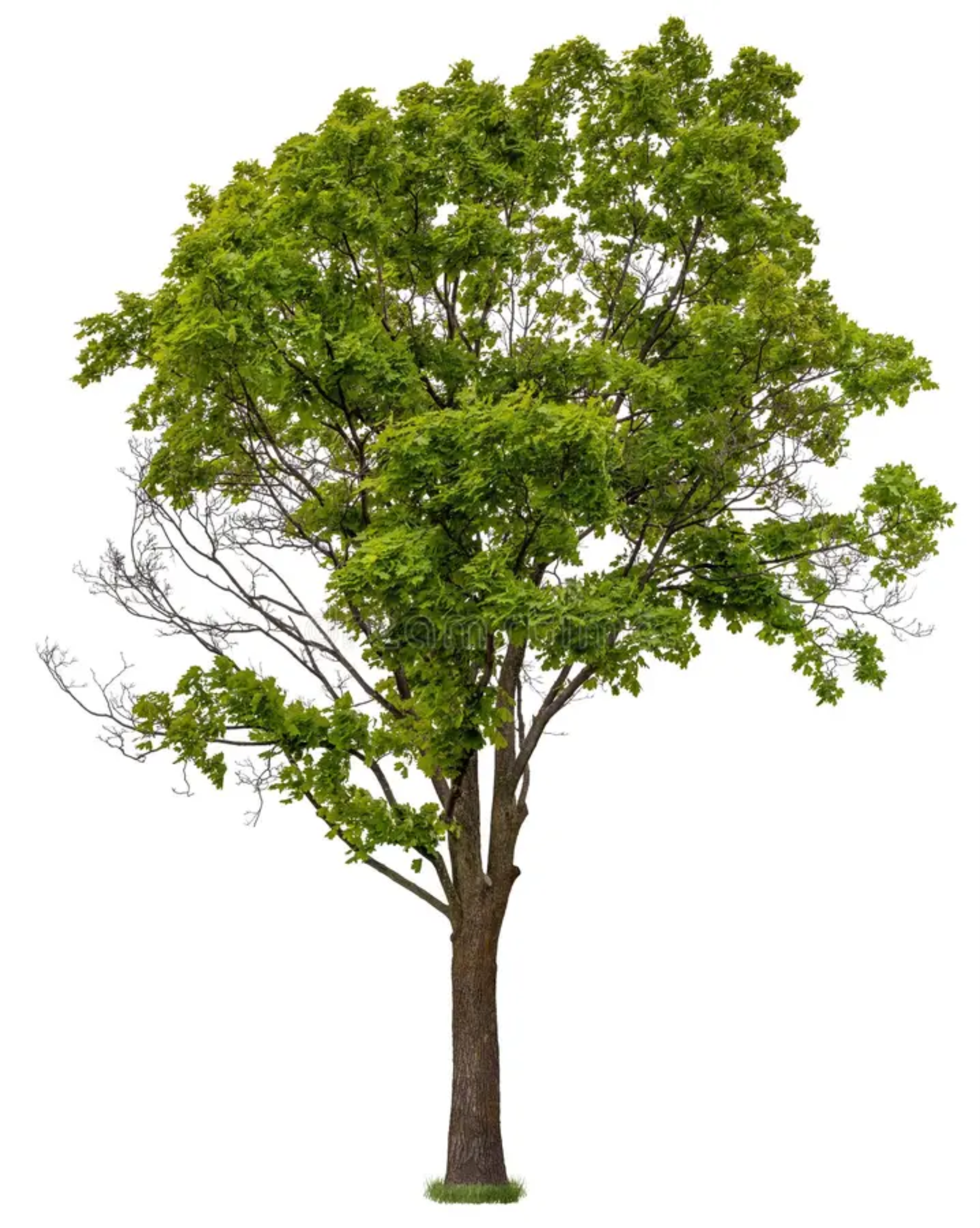 05